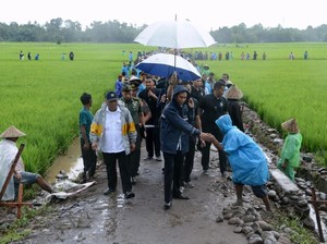 Pakai Jas Hujan, Jokowi Tinjau Proyek Padat Karya di Gowa