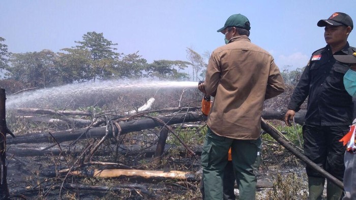 Masuki Kemarau, Waspada Kebakaran Hutan dan Lahan