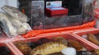 Foto: Kalau versi keringnya, hewan Teripang mencapai harga Rp 3 juta! (Shinta/detikTravel)