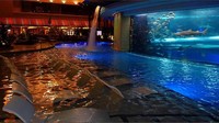 Bukan cuma berenang dan melihat hiu, traveler juga bisa memilih shark tour atau tur berkeliling tangki hiu dengan 200 ribu galon air (Golden Nugget/Instagram)