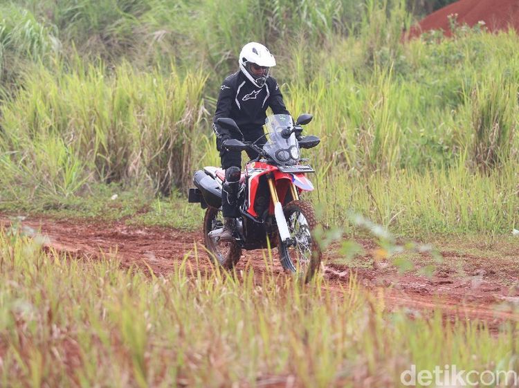 Si Jangkung Honda CRF250 Rally