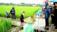 Di bawah guyuran hujan lebat, Jokowi melihat langsung kegiatan padat karya tunai untuk membangun jalan produksi sepanjang 1.040 meter dan lebar 3 meter dengan tenaga kerja yang berasal dari masyarakat dan kelompok tani sebanyak 50 orang. Dok. Biro Pers Setpres.