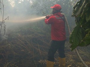 Tumbuhkan Kesadaran Bahaya Kebakaran Lahan Sejak Dini