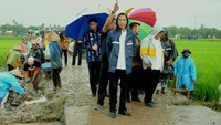 Mulai dari padat karya tunai ini adalah Rp 600 juta. Dok. Biro Pers Setpres.