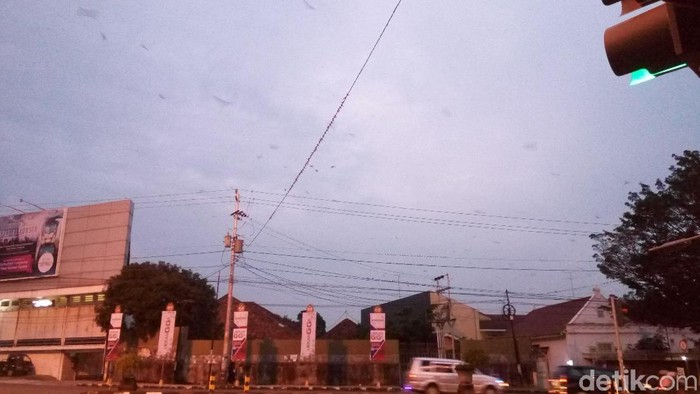 Saat Ribuan Burung Menghiasi Malam Jalanan Kota Solo