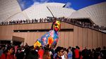Foto: Lampion Anjing Raksasa Saat Imlek di Sydney