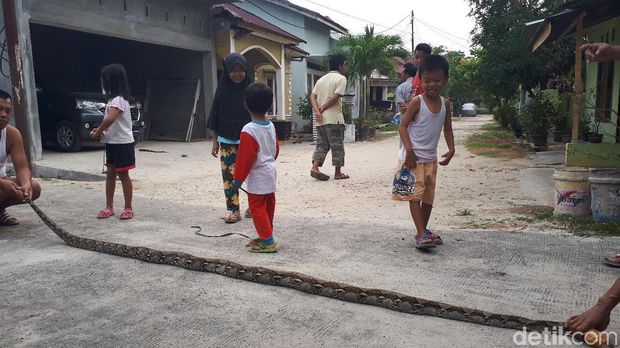 Warga tak melukai ular tersebut.