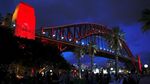 Foto: Lampion Anjing Raksasa Saat Imlek di Sydney