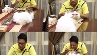 Teman makan malamnya kali ini bukan anggota keluarga atau rekan kerjanya, tapi kucing peliharaannya. Lucu banget, Krishna asyik makan ditemani si manis. Foto: instagram @krishnamurti_91