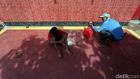 Mereka datang ke vihara sejak pagi.