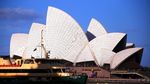 Foto: Lampion Anjing Raksasa Saat Imlek di Sydney