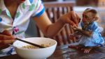 Asyiknya! Makan di Restoran Ini Dilayani dan Ditemani Monyet-monyet Lucu