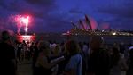 Foto: Lampion Anjing Raksasa Saat Imlek di Sydney