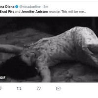 Reaksi kegirangan netizen kalau Brad Pitt dan Jennifer Aniston bersama lagi. Sampai melantai lho. Foto: Twitter