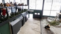 Ekspresi warga saat melihat tingkah polah Lumi dan Pyry (Foto: Dok. Lehtikuva/Roni Rekomaa via REUTERS)