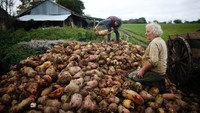 Hebatnya lagi, hasil pertanian tidak mereka jual ke perusahan-perusahan pertanian, namun mereka jual kepada orang-orang yang datang berkunjung ke tempat mereka. (Stephane Mahe/Reuters)