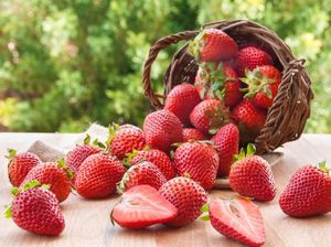 Sensasi Petik Buah Strawberry dari Kebunnya Langsung!