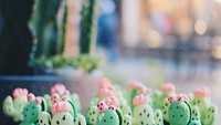 Yang satu ini juga bikin gemas. Macaron tema kaktus yang sebenarnya terdiri dari mini cheesecake dan remahan Oreo. Foto: Instagram honeyandbutter