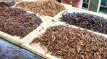 Menjelajah di Pasar Segar Klong Toey Bangkok, Ada Kepiting hingga Kodok Hidup