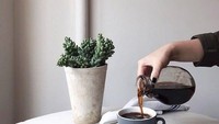  Tampaknya Alice penggemar kopi hitam. Foto ini menunjukkan tangan Alice tengah menuangkan kopi ke dalam cangkirnya.  Foto: Instagram @alicenorin