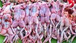 Menjelajah di Pasar Segar Klong Toey Bangkok, Ada Kepiting hingga Kodok Hidup