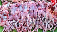 Nah kalau yang ini versi kodok besar yang sudah dikuliti dan bisa dibeli para pengunjung pasar. Foto: Istimewa