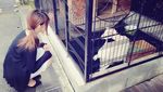 Foto: Intip Jalan-jalannya Cosplayer Cantik dari Jepang