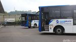 Sasis Mercy, Scania dll Jadi Bus Gagah di Tempat Ini