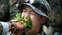 Salah satu anggota juga berlatih memakan dedaunan yang didapat dari hutan.