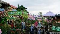 Kawasan green house ini dibuat sangat rapi dan cantik, sehingga sangat cocok bagi kamu pecinta foto yang instagramble. (Syanti/detikTravel)