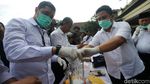 Polres Jakut Musnahkan 42 Kg Ganja