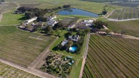 Vergeonegd Wine Estate juga tidak cuma membuka winery atau pabrik anggur saja. Para pengunjung bisa mencicipi, sampai berkeliling kebun yang unik (Vergeonegd Wine Estate)