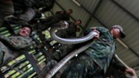 Seorang instruktur Angkatan Laut Thailand menunjukkan cara menangkap ular kobra selama latihan bertahan di hutan. 