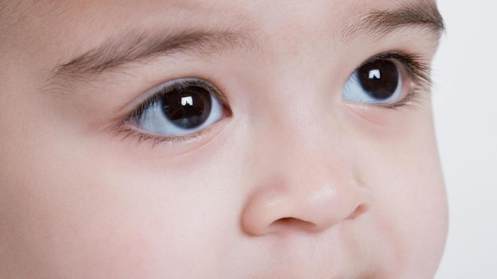 ilustrasi hidung anak