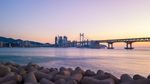 Foto: Jembatan Cantik Tempat Black Panther Mengejar Musuhnya