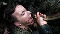 Salah satu prajurit militer Angkatan Laut Amerika Serikat berlatih meminum darah dari ular kobra. 