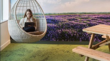 Salah satu sudut ruangan jika karyawan membutuhkan kondisi ruangan yang tenang dan sunyi. (Foto: Emily Hagopian/Business Insider)