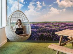 Menjelajahi Kantor Adobe yang Keren dan Bikin Iri