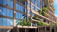 Bangunan ini diperkirakan membutuhkan 6,5 juta kaki kubik kayu dan sekitar 600 miliar Yen. Istimewa/Inhabitat.