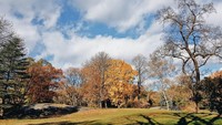 Masih di Negeri Paman Sam, Grace Natalie memotret indahnya Central Park. Ini adalah taman kota paling terkenal di dunia (gracenat/Instagram)