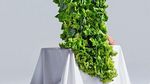 Keren! 10 Orang Ini Kenakan Item Fashion yang Terbuat dari Makanan