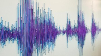 Untuk desain audio ini dirancang khusus oleh perusahaan Antlre Creativ yang bekerja sama dengan tim video dan audio digital Adobe. Ini menggambarkan sebagai visualisasi audio karyawan Adobe. (Foto: Emily Hagopian/Business Insider)