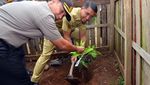 Rumah Tempat Rahma Bocah Tangguh Urus Ibu yang Lumpuh Dibedah