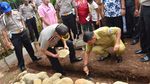 Rumah Tempat Rahma Bocah Tangguh Urus Ibu yang Lumpuh Dibedah
