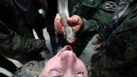 Bahkan meminum darah dari kobra. 