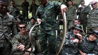 Seorang instruktur Angkatan Laut Thailand menunjukkan cara menangkap ular kobra selama latihan bertahan di hutan. 