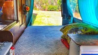 Setelah bekerja setiap hari, Chrissie Junge akan memarkir truknya di salah satu dari sedikit lokasi parkir di sekitar Brisbane. 