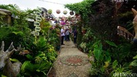 Namanya Green House Lezatta, sebuah lokasi agrowisata mini yang berada di Bukittinggi, Sumatera Barat. (Syanti/detikTravel)