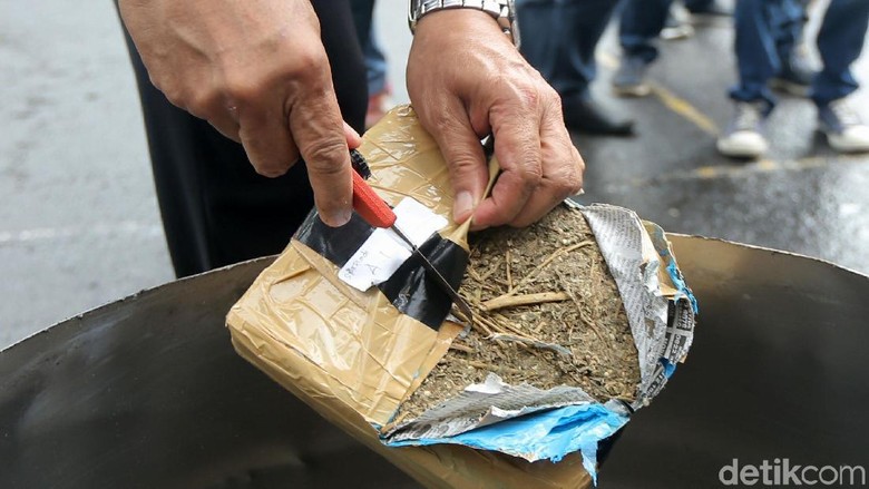 26 Kg Ganja Jaringan Malaysia Dimusnahkan BNNP Sumut 26 Kg Ganja Jaringan Malaysia Dimusnahkan BNNP Sumut