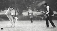 Di waktu senggang, ia juga kerap menghabiskan waktu melakukan aktivitas fisik bersama sang anjing peliharaan. (Foto: instagram/marthinolio)